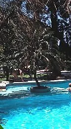 Vila Vicencia Funchal  Hotel Funchal (Madeira)
